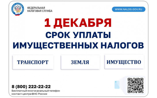 1 декабря – срок уплаты имущественных налогов